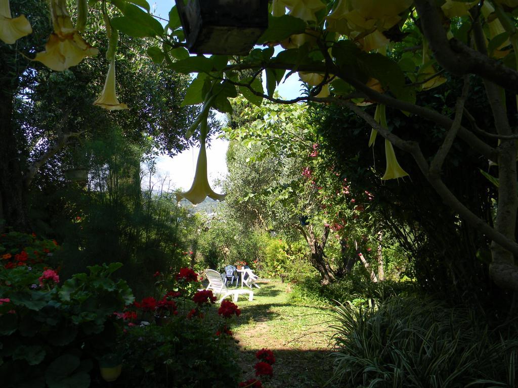 Villa Efterpi Kontokali Buitenkant foto