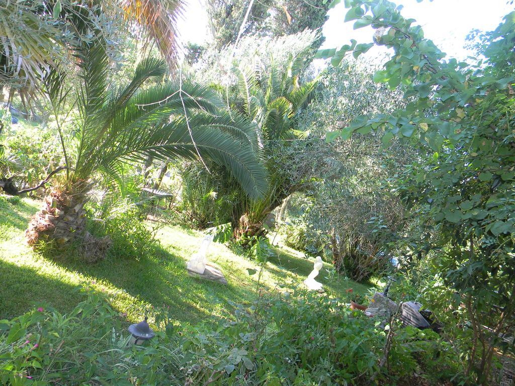 Villa Efterpi Kontokali Buitenkant foto