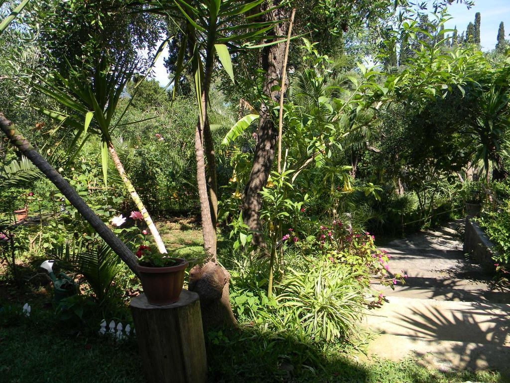 Villa Efterpi Kontokali Buitenkant foto